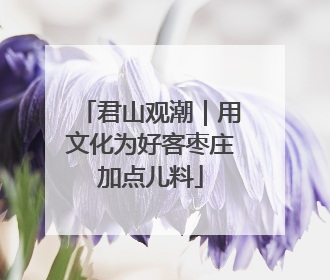 君山观潮｜用文化为好客枣庄加点儿料