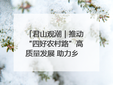 君山观潮｜推动“四好农村路”高质量发展 助力乡村振兴出新彩