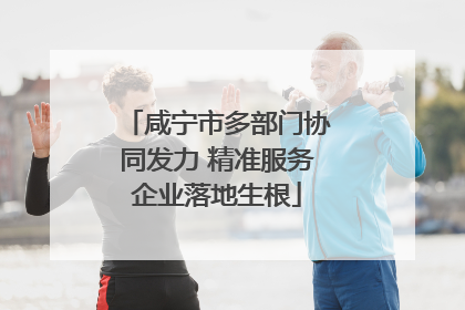 咸宁市多部门协同发力 精准服务企业落地生根