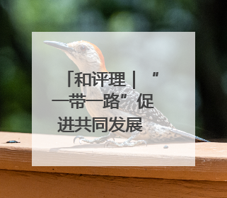 和评理｜“一带一路”促进共同发展 美国抹黑攻击酸味十足