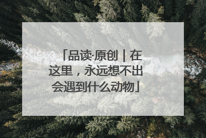 品读·原创｜在这里，永远想不出会遇到什么动物