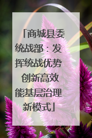 商城县委统战部：发挥统战优势 创新高效能基层治理新模式
