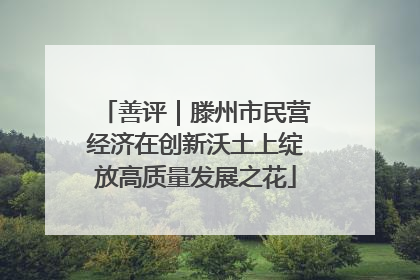 善评｜滕州市民营经济在创新沃土上绽放高质量发展之花