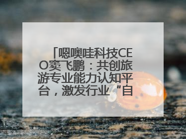 嗯噢哇科技CEO窦飞鹏：共创旅游专业能力认知平台，激发行业“自生长”力量