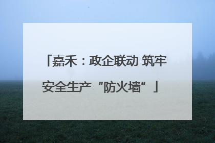嘉禾：政企联动 筑牢安全生产“防火墙”