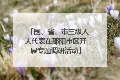 国、省、市三级人大代表在邵阳市区开展专题调研活动