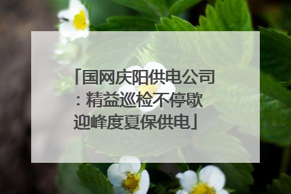 国网庆阳供电公司：精益巡检不停歇 迎峰度夏保供电