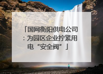 国网衡阳供电公司：为园区企业拧紧用电“安全阀”