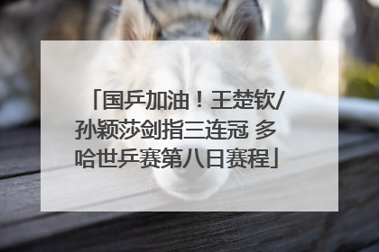 国乒加油！王楚钦/孙颖莎剑指三连冠 多哈世乒赛第八日赛程