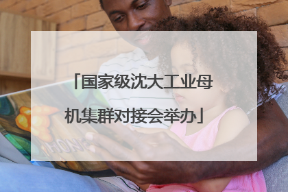 国家级沈大工业母机集群对接会举办