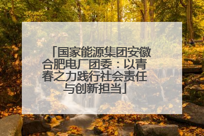国家能源集团安徽合肥电厂团委：以青春之力践行社会责任与创新担当