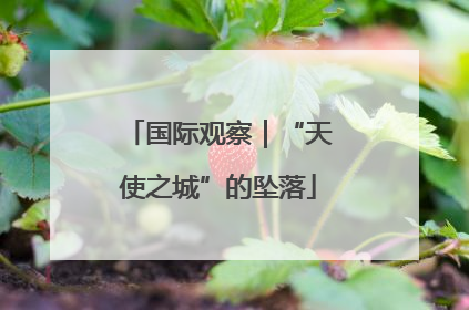国际观察｜“天使之城”的坠落