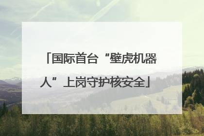 国际首台“壁虎机器人”上岗守护核安全