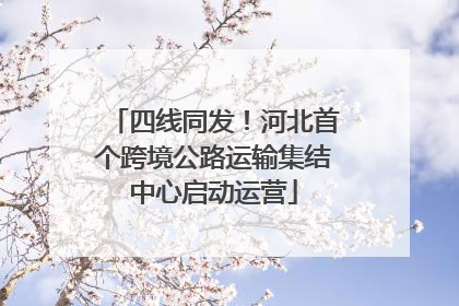 四线同发！河北首个跨境公路运输集结中心启动运营