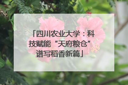 四川农业大学：科技赋能“天府粮仓”谱写稻香新篇
