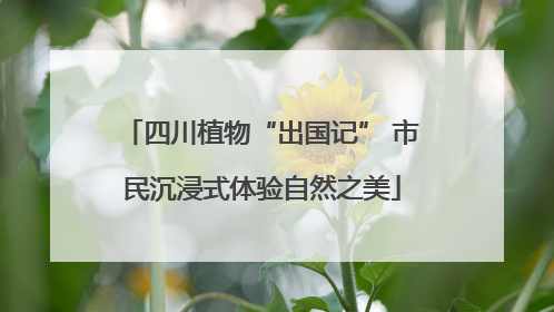 四川植物“出国记” 市民沉浸式体验自然之美