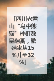 四川老君山“鸟中熊猫”种群数量翻番，繁殖率从15%升至32%