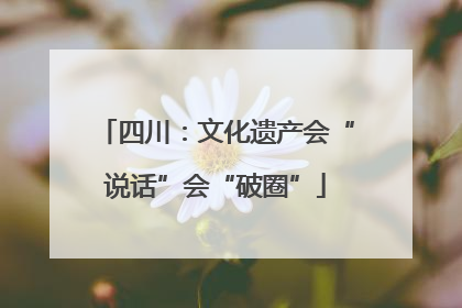 四川：文化遗产会“说话”会“破圈”