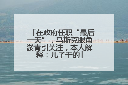 在政府任职“最后一天”，马斯克眼角淤青引关注，本人解释：儿子干的