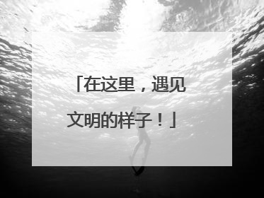 在这里，遇见文明的样子！