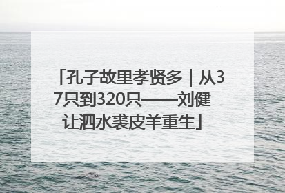 孔子故里孝贤多｜从37只到320只——刘健让泗水裘皮羊重生