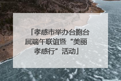 孝感市举办台胞台属端午联谊暨“美丽孝感行”活动