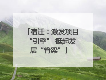 宿迁：激发项目“引擎” 挺起发展“脊梁”