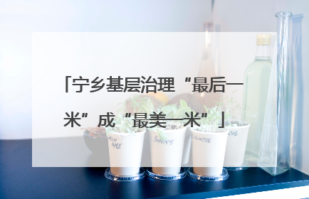 宁乡基层治理“最后一米”成“最美一米”