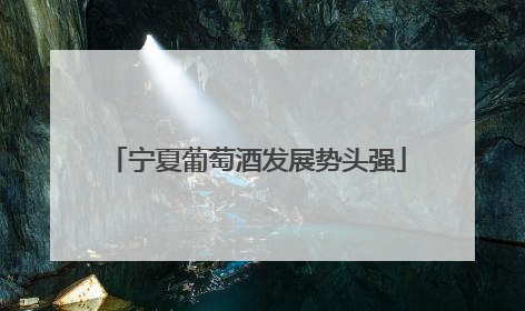 宁夏葡萄酒发展势头强