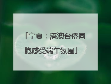宁夏：港澳台侨同胞感受端午氛围