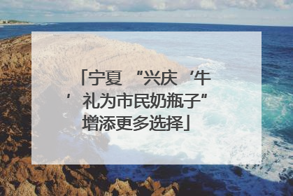 宁夏 “兴庆‘牛’礼为市民奶瓶子”增添更多选择