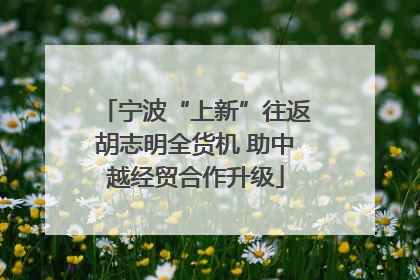 宁波“上新”往返胡志明全货机 助中越经贸合作升级