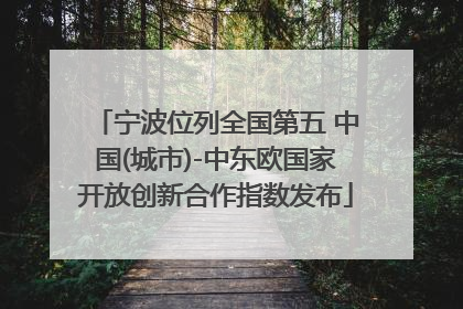 宁波位列全国第五 中国(城市)-中东欧国家开放创新合作指数发布