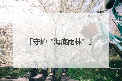 守护“海底雨林”