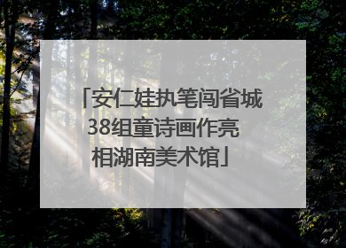 安仁娃执笔闯省城 38组童诗画作亮相湖南美术馆