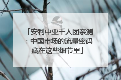 安利中亚千人团亲测：中国市场的流量密码 藏在这些细节里