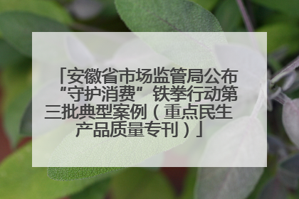 安徽省市场监管局公布“守护消费”铁拳行动第三批典型案例（重点民生产品质量专刊）