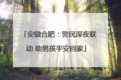 安徽合肥：警民深夜联动 助男孩平安回家