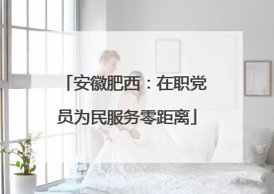 安徽肥西：在职党员为民服务零距离