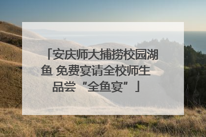 安庆师大捕捞校园湖鱼 免费宴请全校师生品尝“全鱼宴”