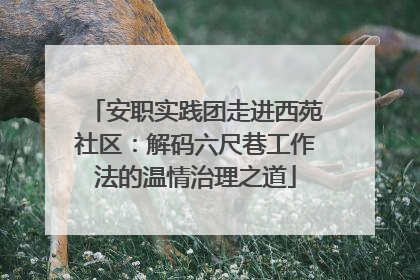 安职实践团走进西苑社区：解码六尺巷工作法的温情治理之道