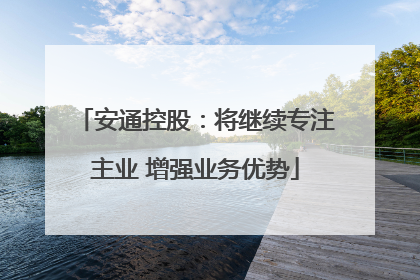 安通控股：将继续专注主业 增强业务优势