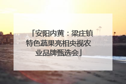 安阳内黄：梁庄镇特色蔬果亮相央视农业品牌甄选会