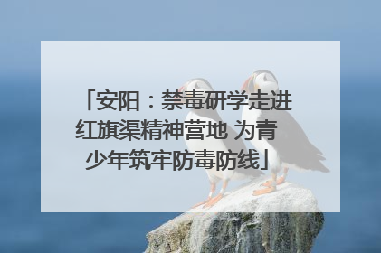 安阳：禁毒研学走进红旗渠精神营地 为青少年筑牢防毒防线