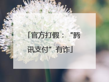 官方打假：“腾讯支付”有诈