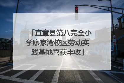 宜章县第八完全小学廖家湾校区劳动实践基地喜获丰收