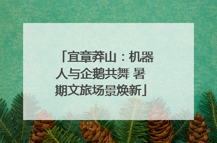 宜章莽山：机器人与企鹅共舞 暑期文旅场景焕新
