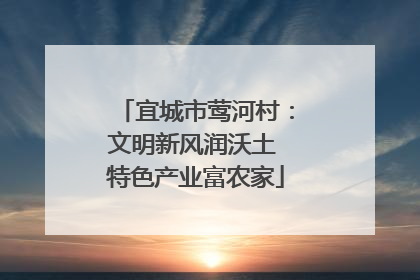宜城市莺河村：文明新风润沃土 特色产业富农家