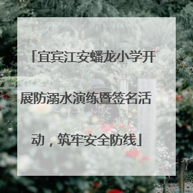 宜宾江安蟠龙小学开展防溺水演练暨签名活动，筑牢安全防线