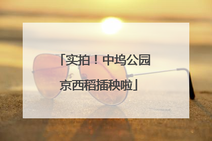 实拍！中坞公园京西稻插秧啦